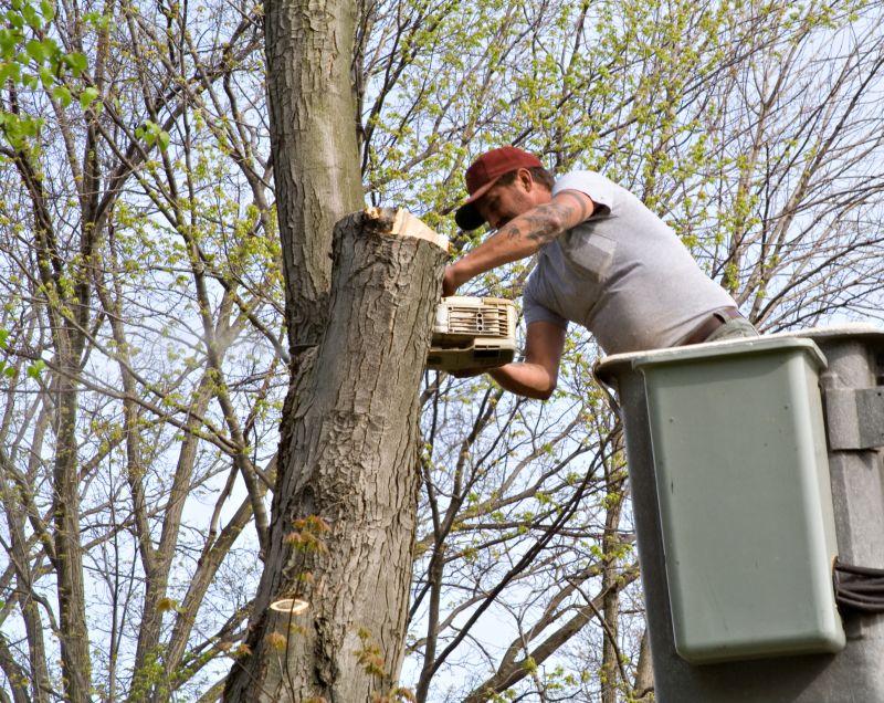 Residential Tree Service in Montgomery County, PA