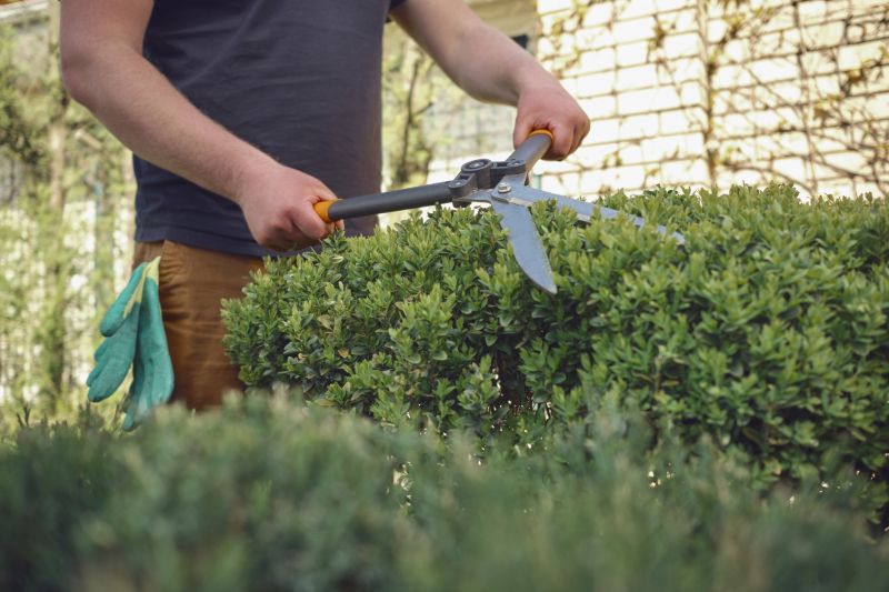 Shrub Trimming in Ventura County, CA