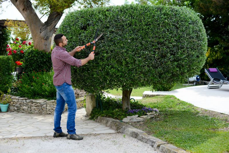 Bush Trimming Service in Rockwall, TX