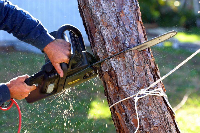 Cherry Tree Removal in Pottstown, PA