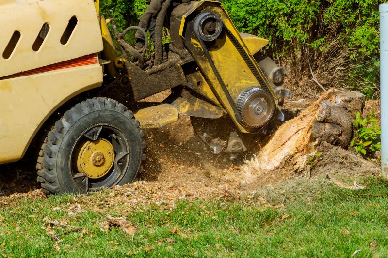 Commercial Stump Grinding in Doylestown, PA