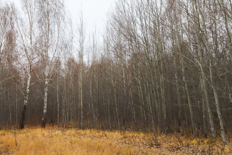 Source and Procurement