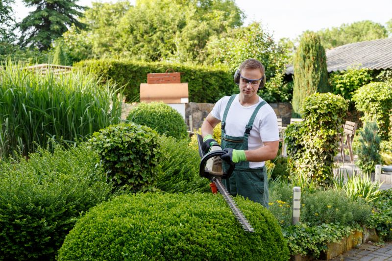 Evergreen Hedge Trimming in Rockwall, TX