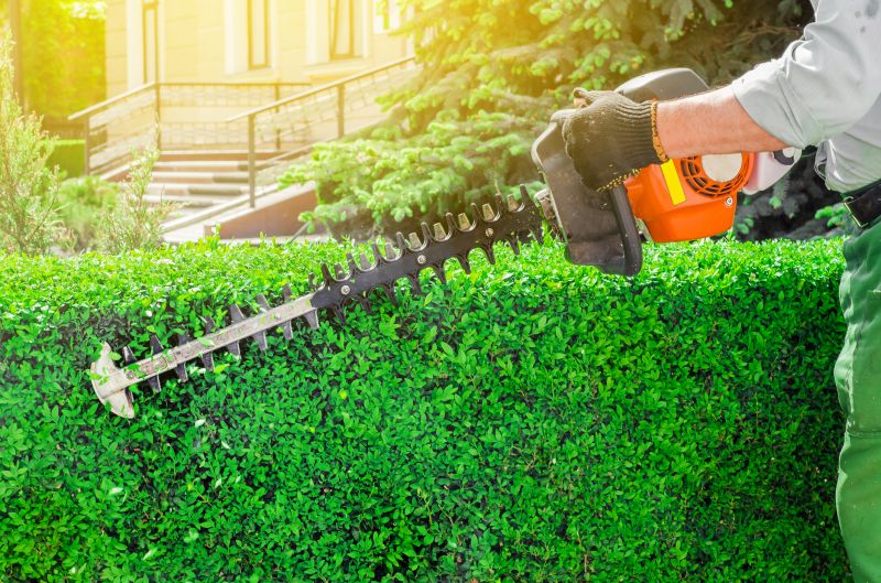 Hedge Removal Service in Ventura County, CA