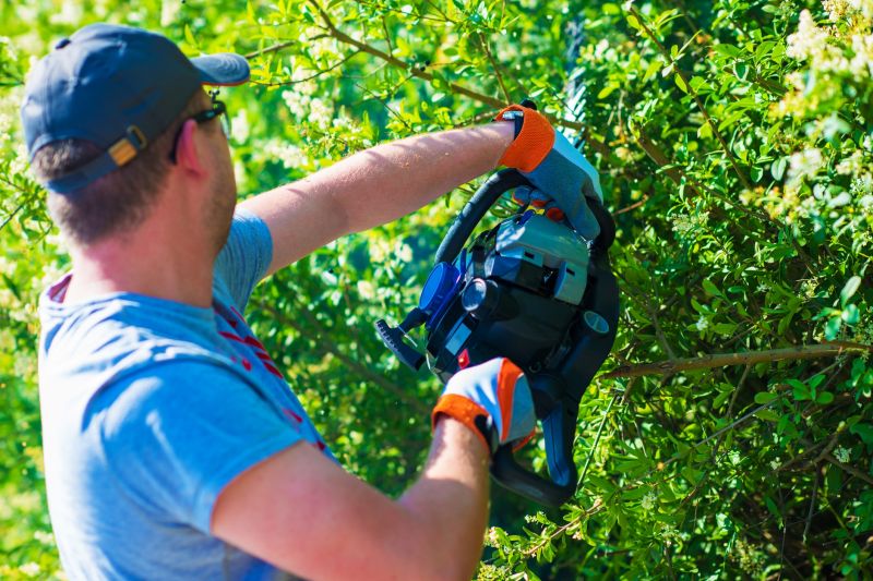 Shrub Trimming in Aiken, SC