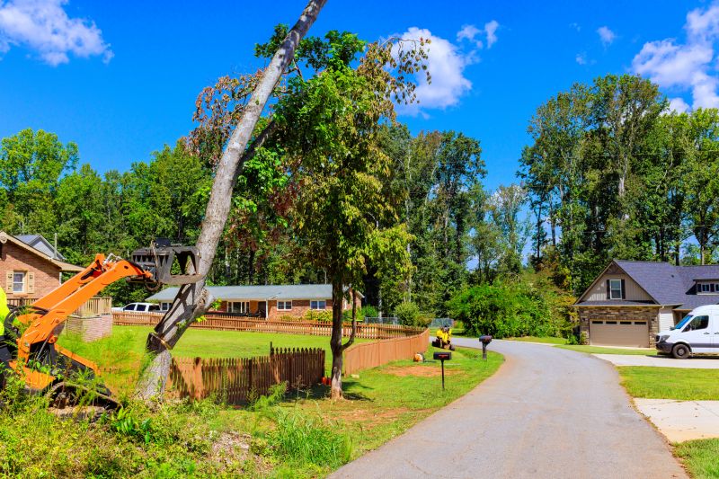 Tree Removal Service in Aiken, SC